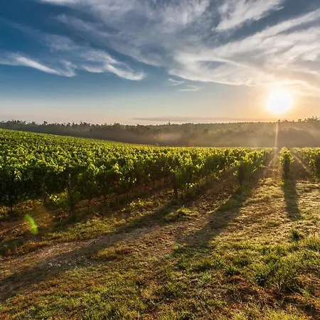 Il Palco Montepulciano, Vista Incredibile, 150mt Da Piazza Grande * Montepulciano